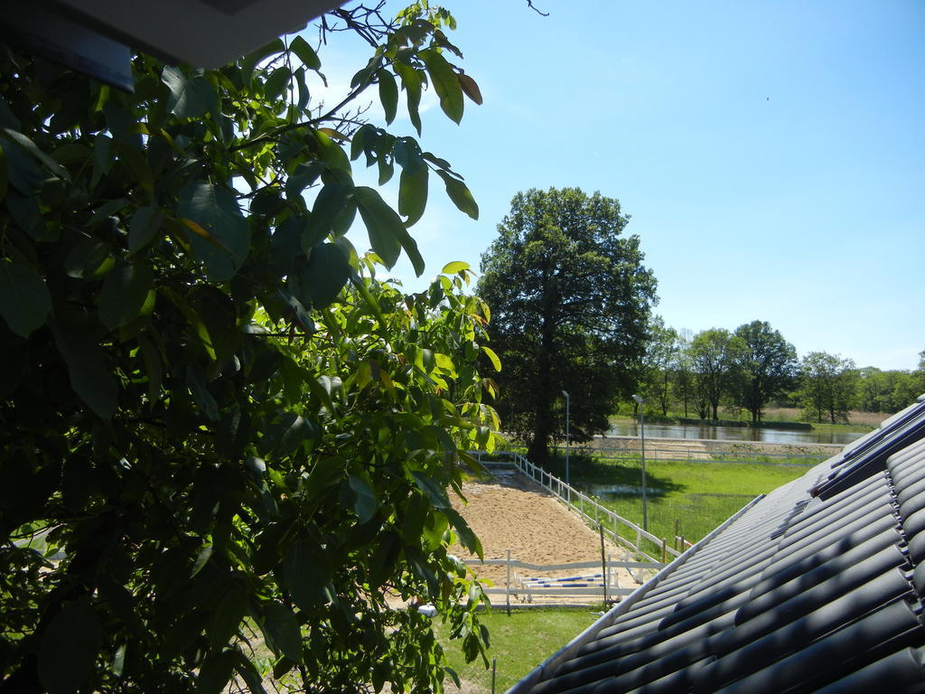 Gutshof Zum Adlernest Arnsnesta Exterior foto